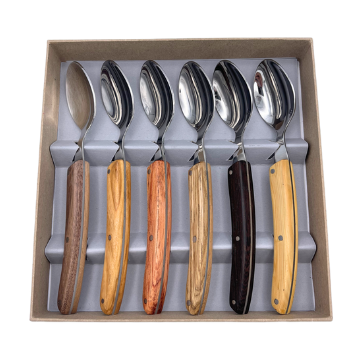 Coffret de 6 cuillère dessert le thiers manches bois assortis