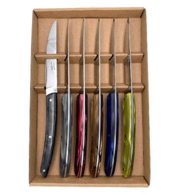 Coffret de 6 couteaux de table le thiers manches plexiglass couleur automne