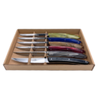 Coffret de 6 couteaux de table le thiers manches plexiglass couleur automne