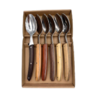 Coffret de 6 cuillère de table le thiers manches bois assortis