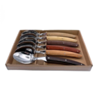 Coffret de 6 cuillère de table le thiers manches bois assortis