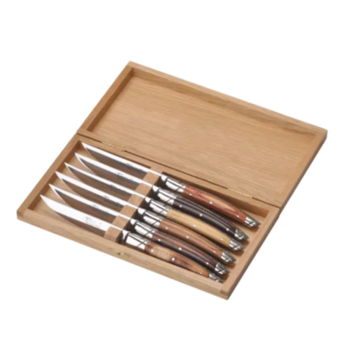 Coffret 6 couteaux Le Thiers Prestige – Manches en bois assortis