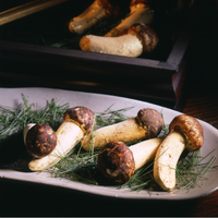 les champignons 31 octobre